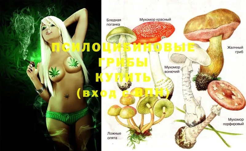 купить  сайты  Еманжелинск  Галлюциногенные грибы Magic Shrooms 